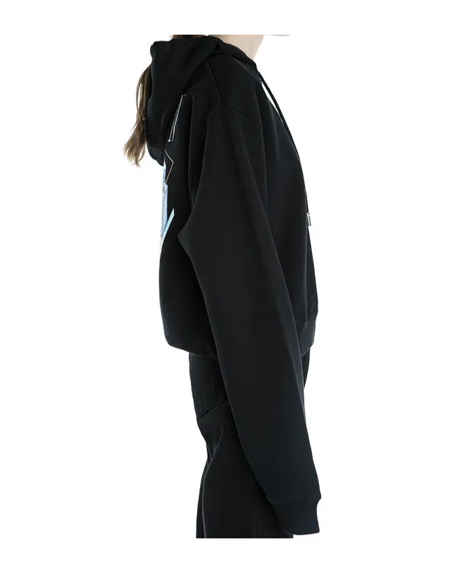 Microenvironment Crop Hoodie