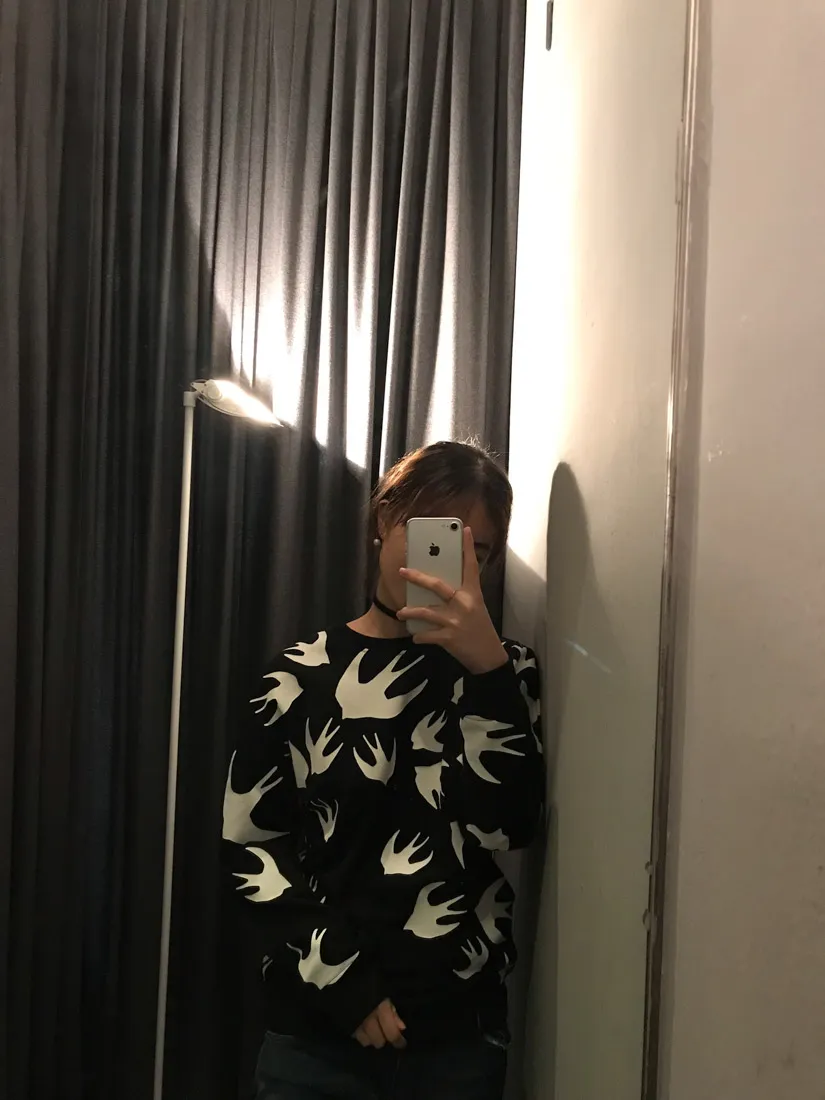 Swallow' Pullover