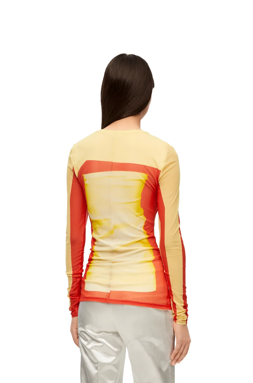 Long Sleeve Top In Mesh