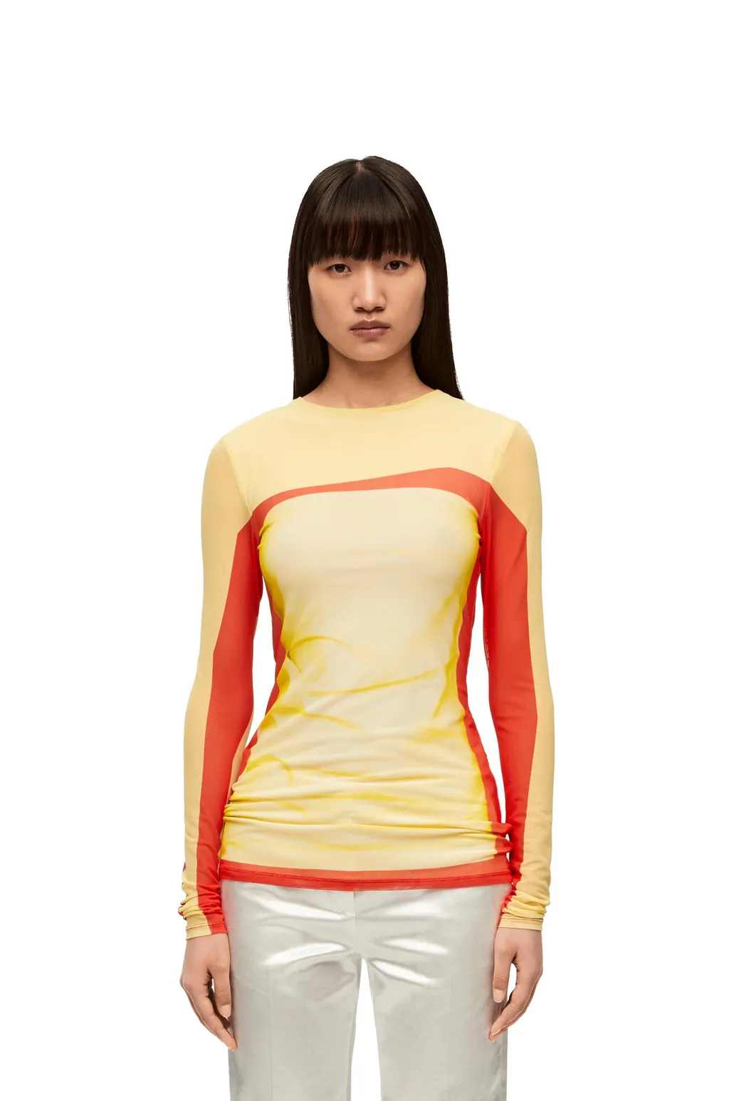 Long Sleeve Top In Mesh