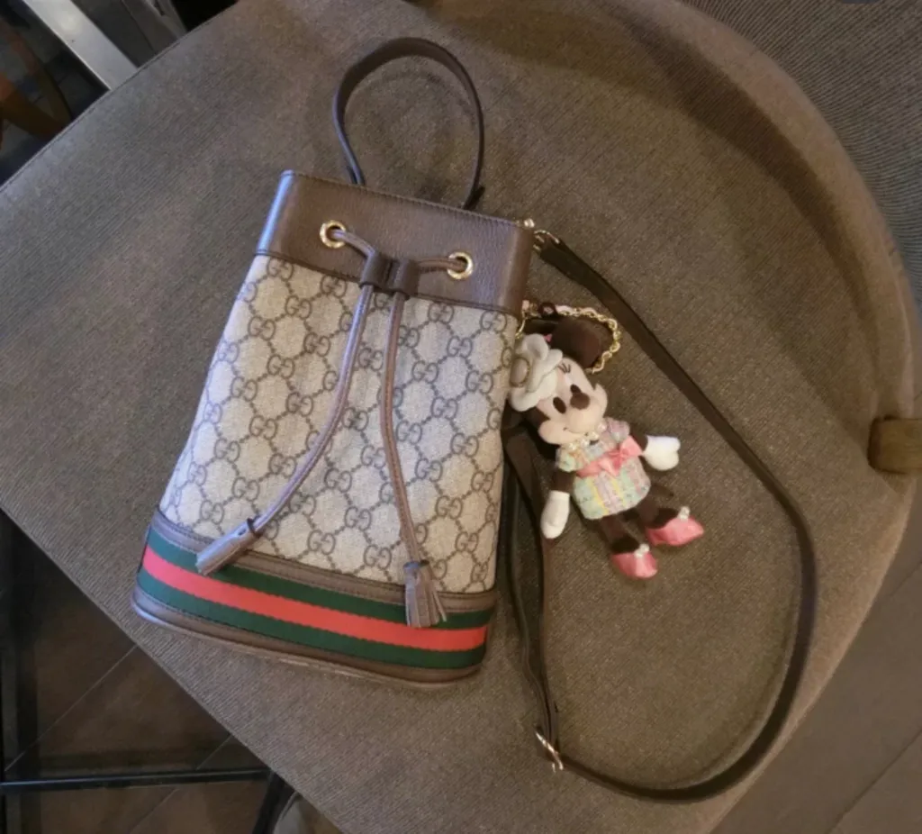 Gucci Ophidia Small Bucket Bag