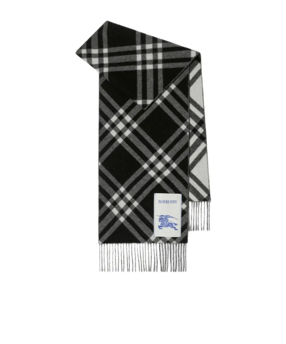 Burberry Checked Fringed-Edge Scarf