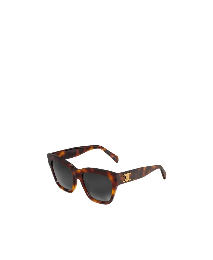 Triomphe 09 Sunglasses In Acetate