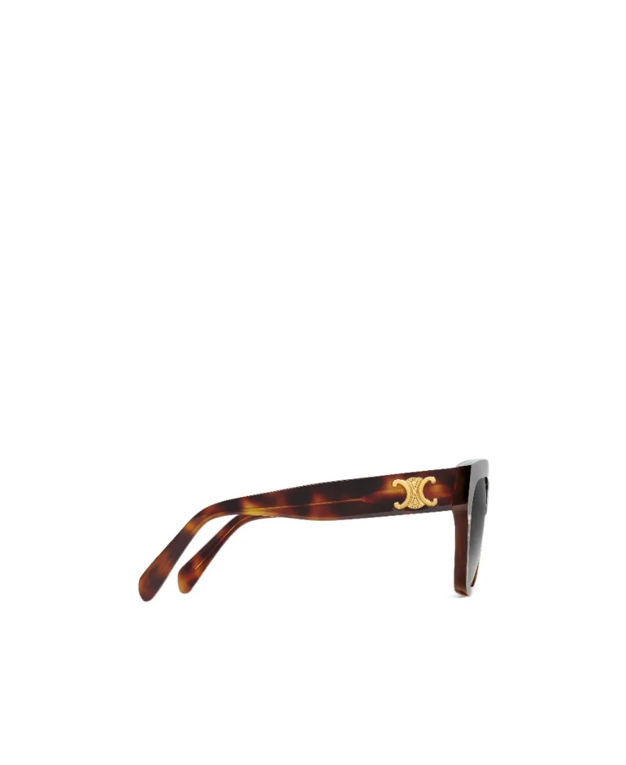 Triomphe 09 Sunglasses In Acetate