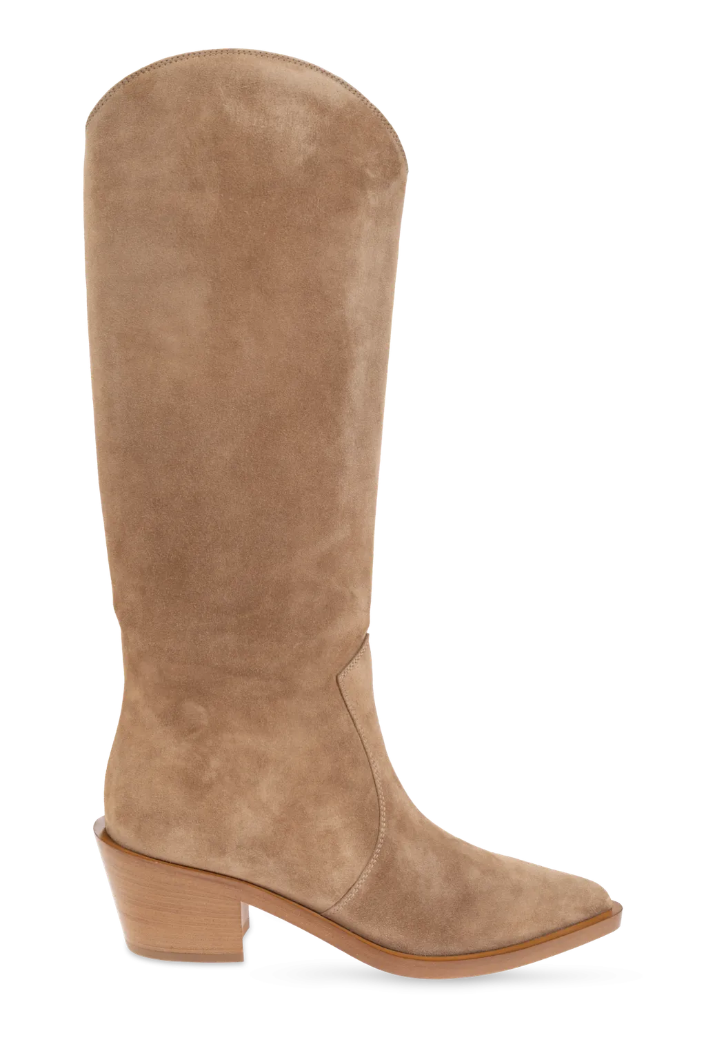Gianvito Rossi Waylon Pointed Toe Boots