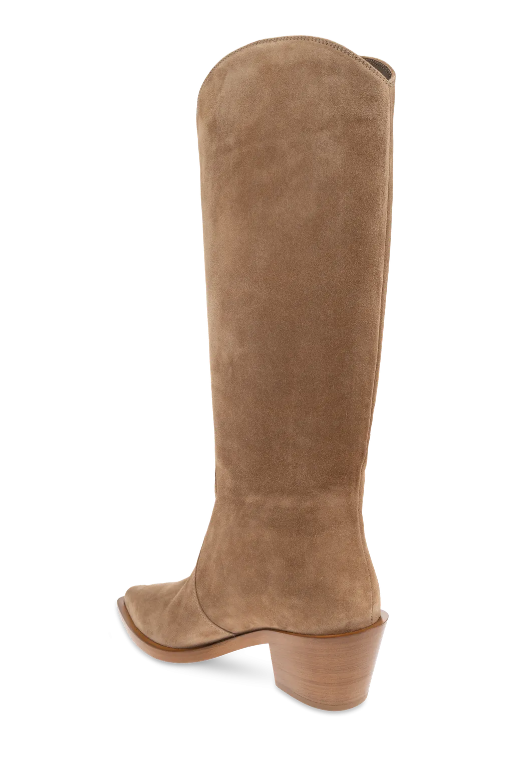 Gianvito Rossi Waylon Pointed Toe Boots