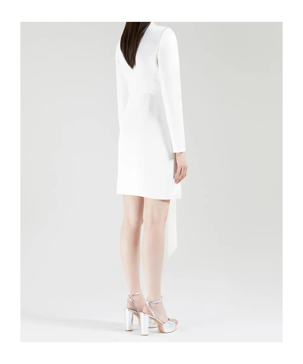 Long Sleeve Dress
