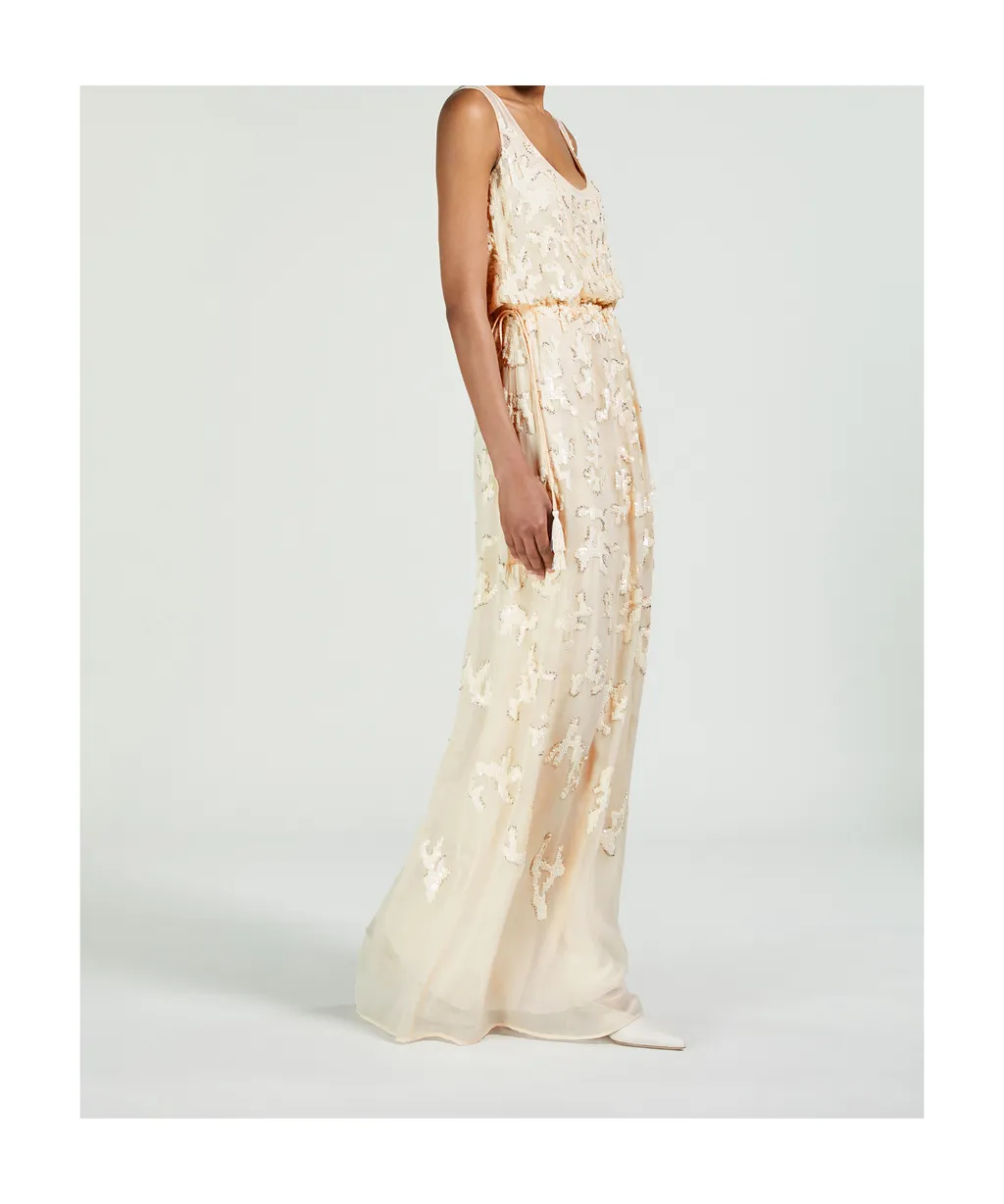 Sequin Embroidered Dress