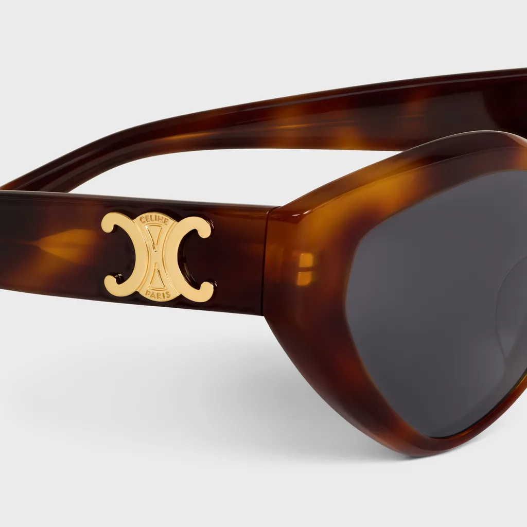 Triomphe 17 Sunglasses In Acetate