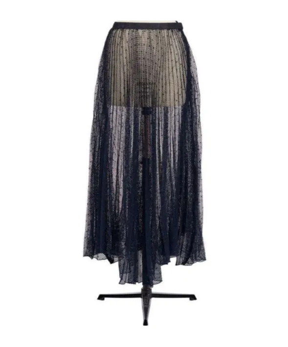 Long Transparent Skirt