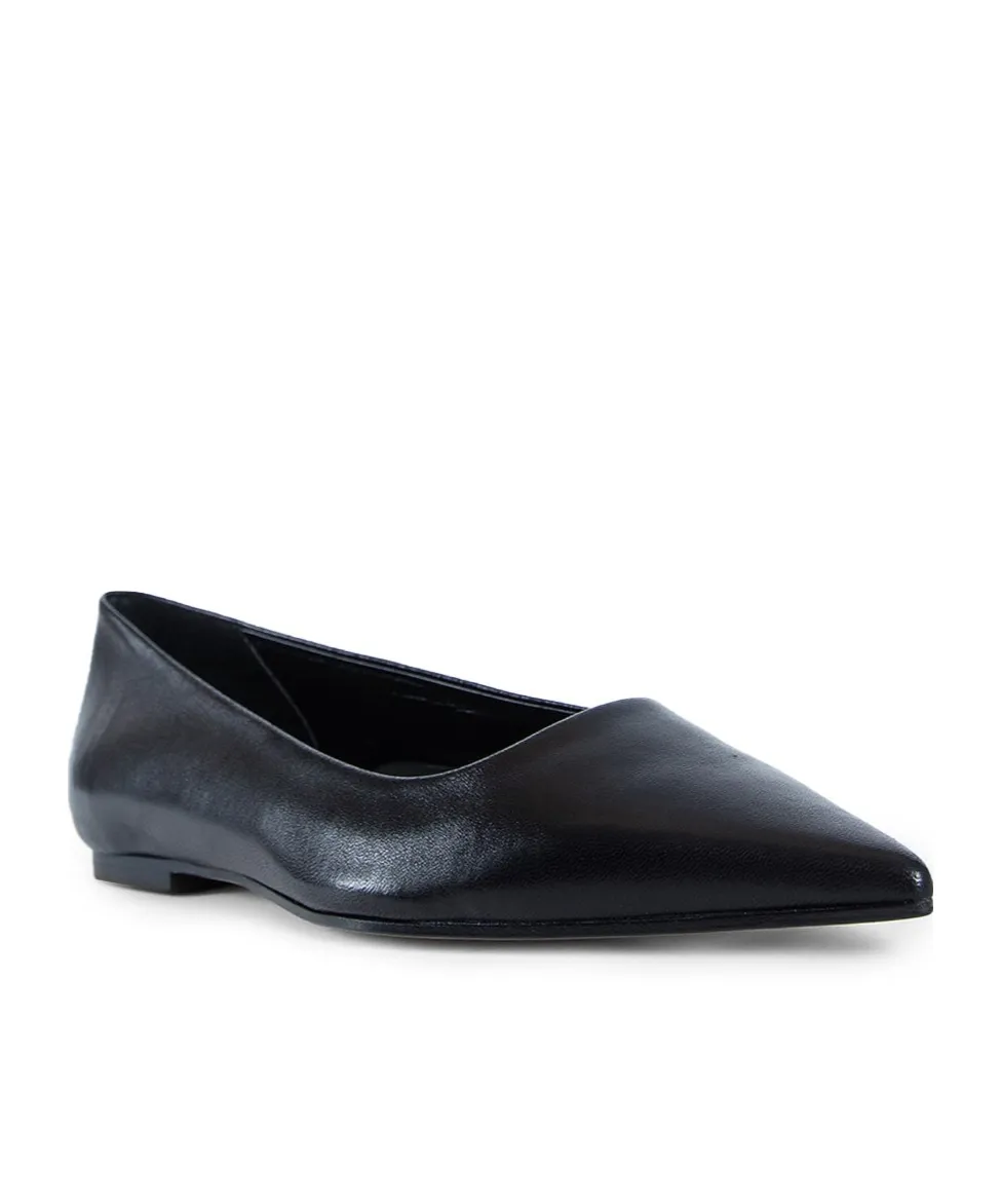 Pointed Toe Flats