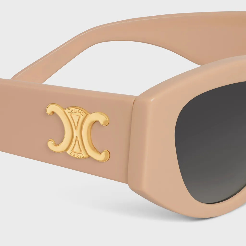 Triomphe 15 Sunglasses In Acetate