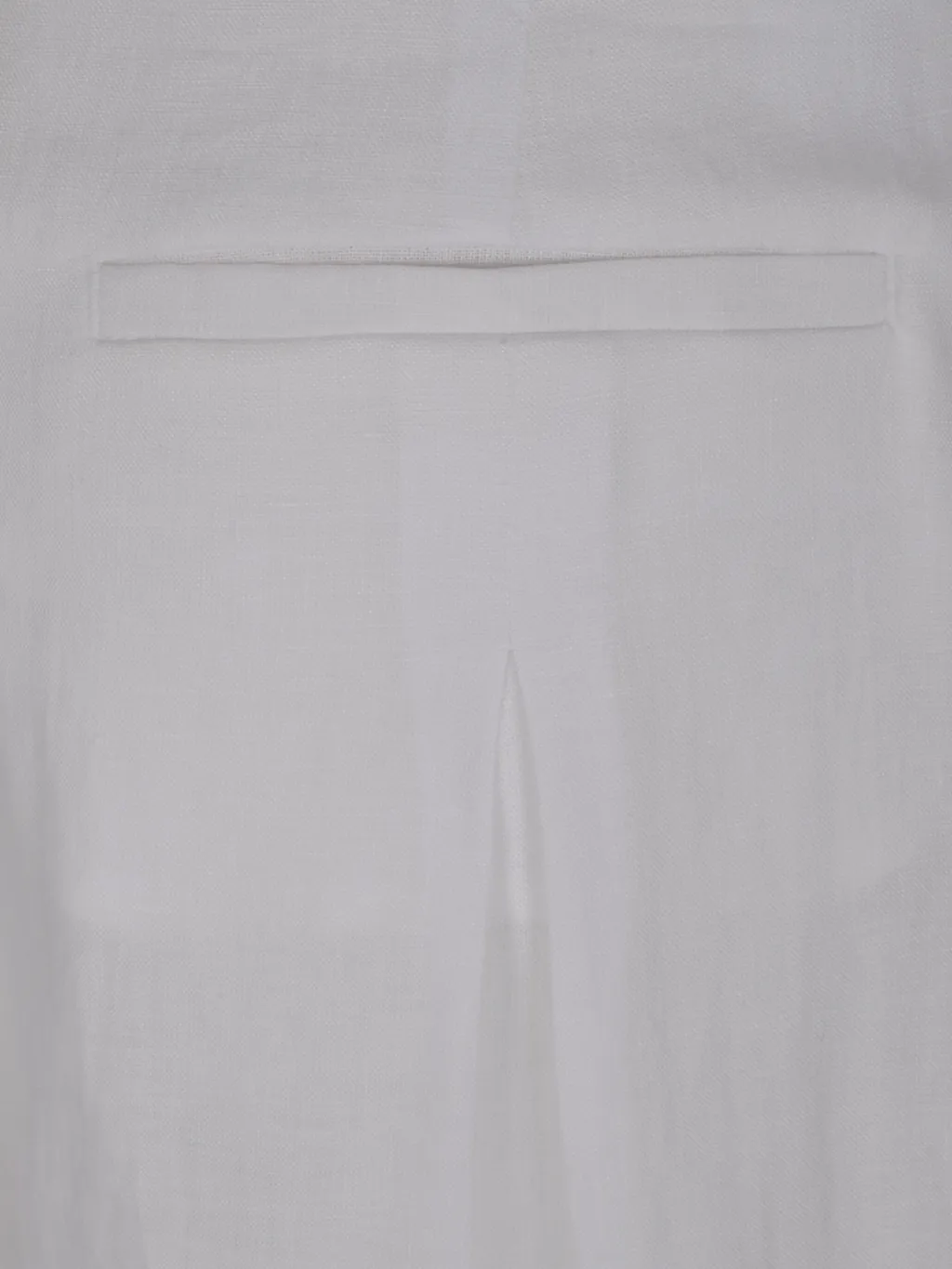 Peserico Wide Leg Pleated Pants