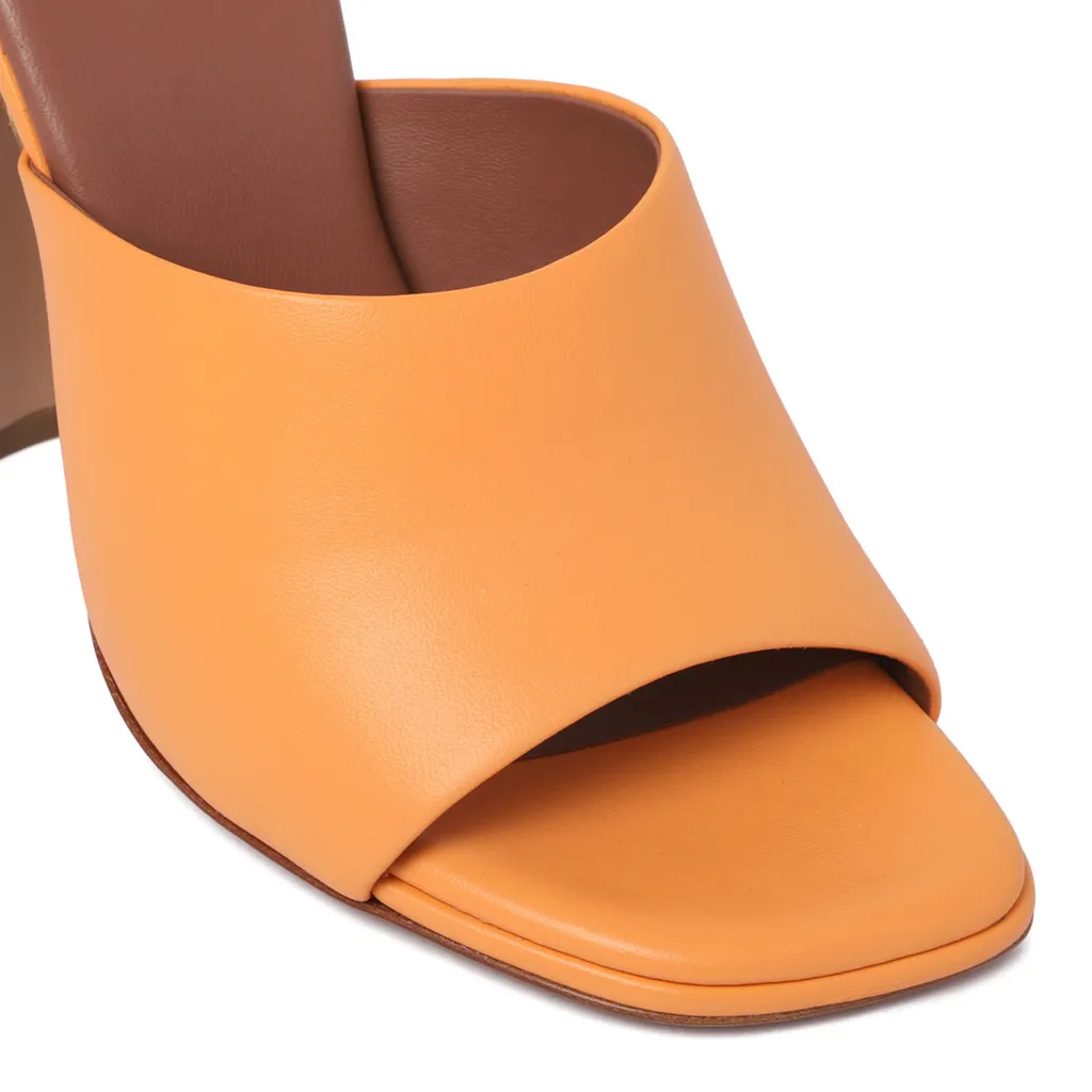100Mm Ava Mules