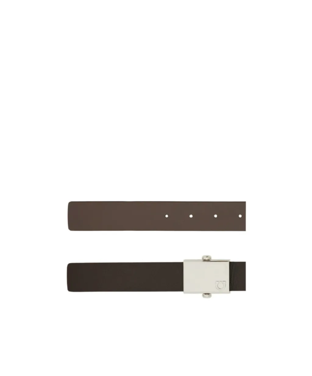 Reversible Belt