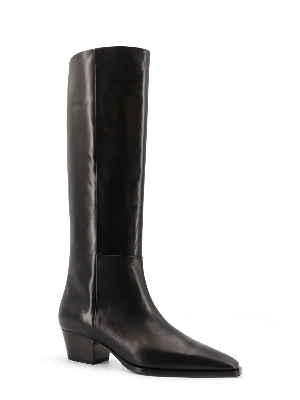 Aeyde Medea Pointed-Toe Boots