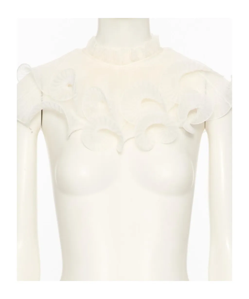 Silk Collar