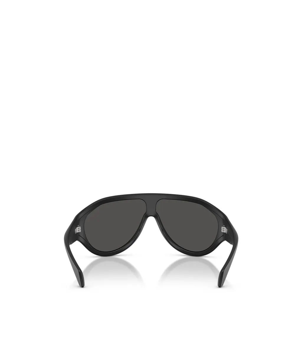 Full Frame Sunglasses