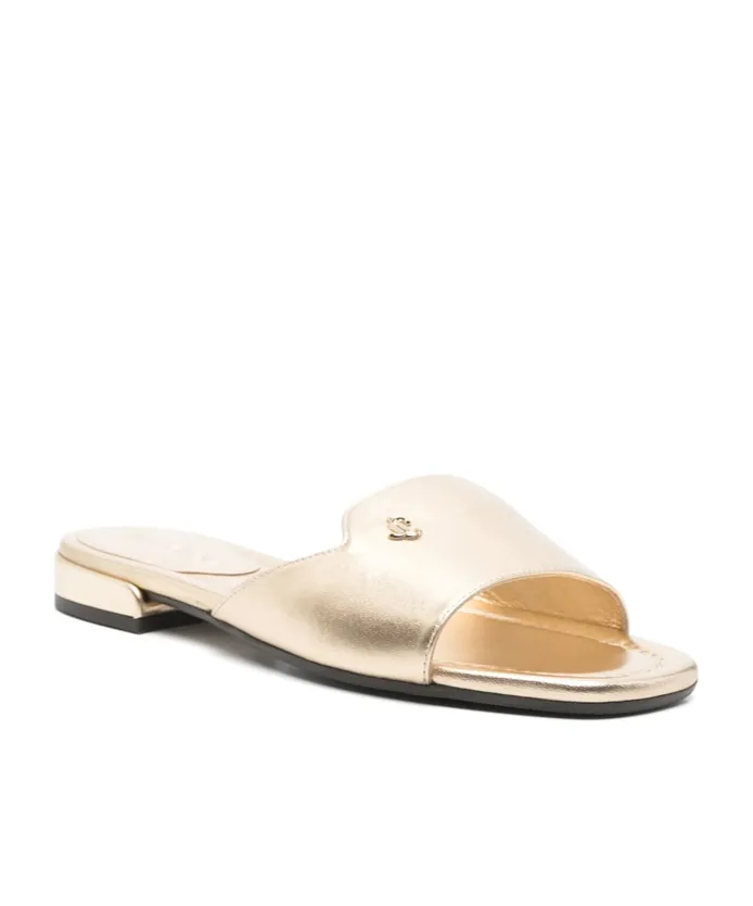 Dina Slides