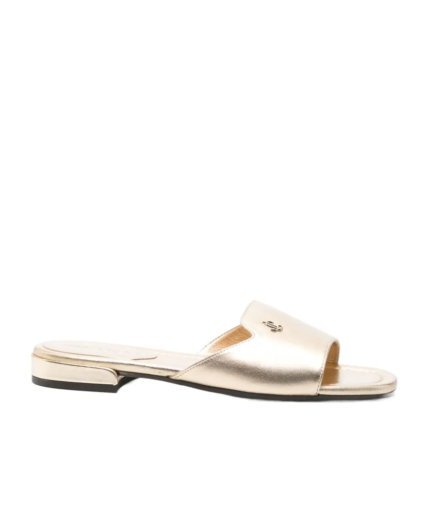 Dina Slides