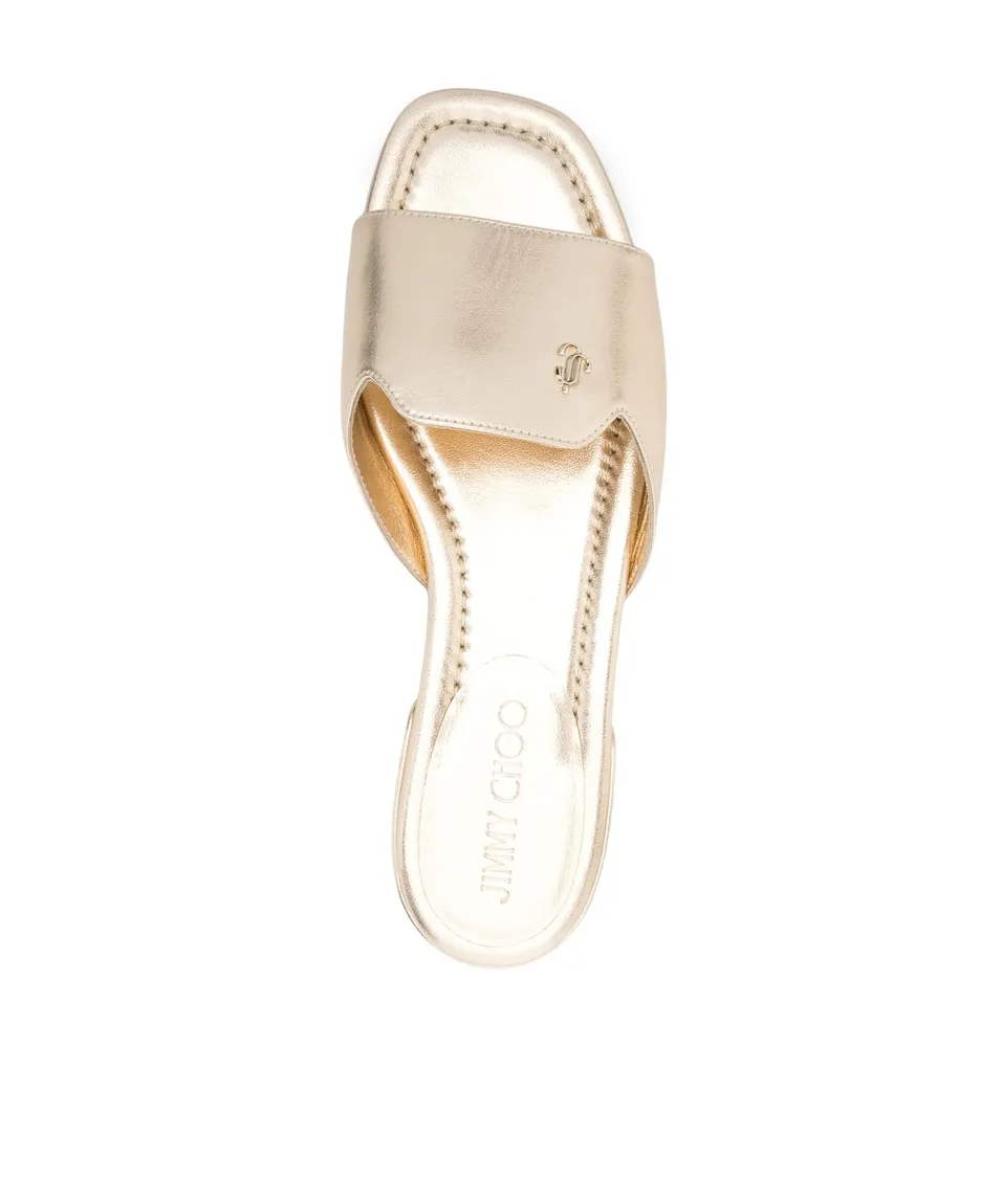 Dina Slides