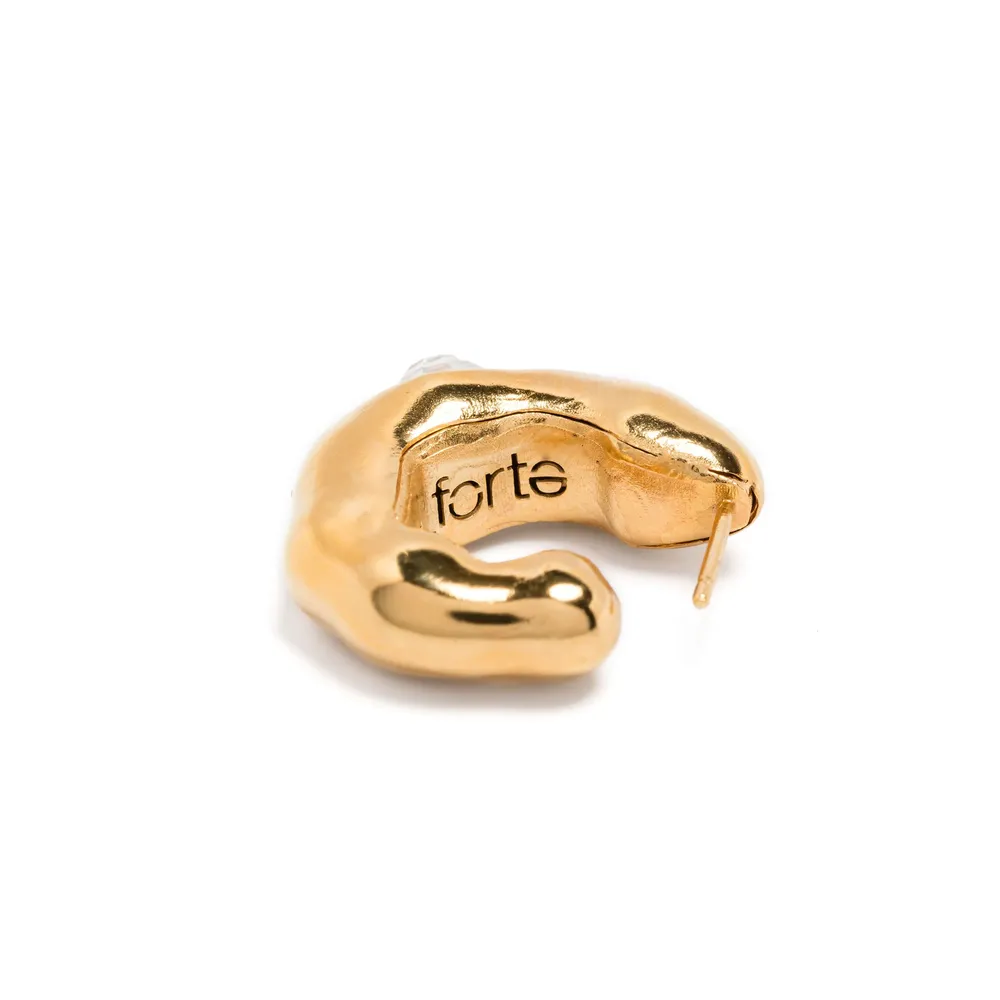 Ring Earrings