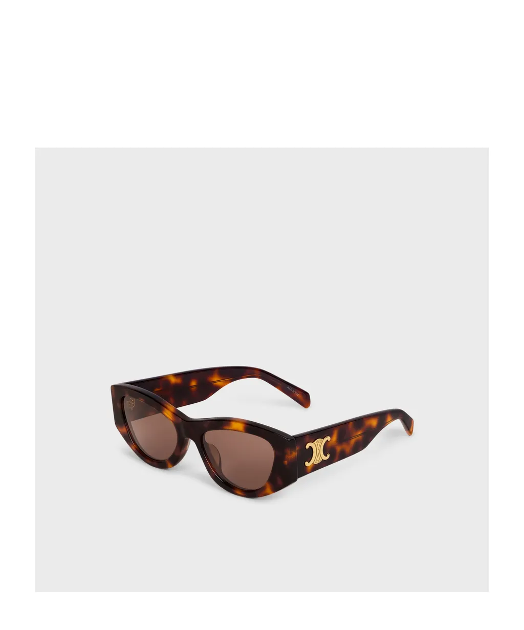Triomphe 15 Sunglasses In Acetate