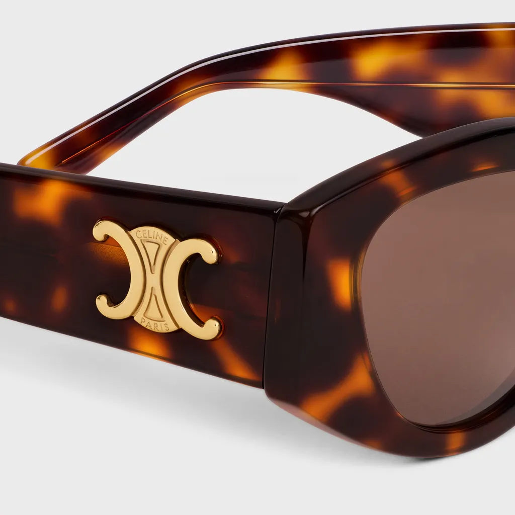 Triomphe 15 Sunglasses In Acetate