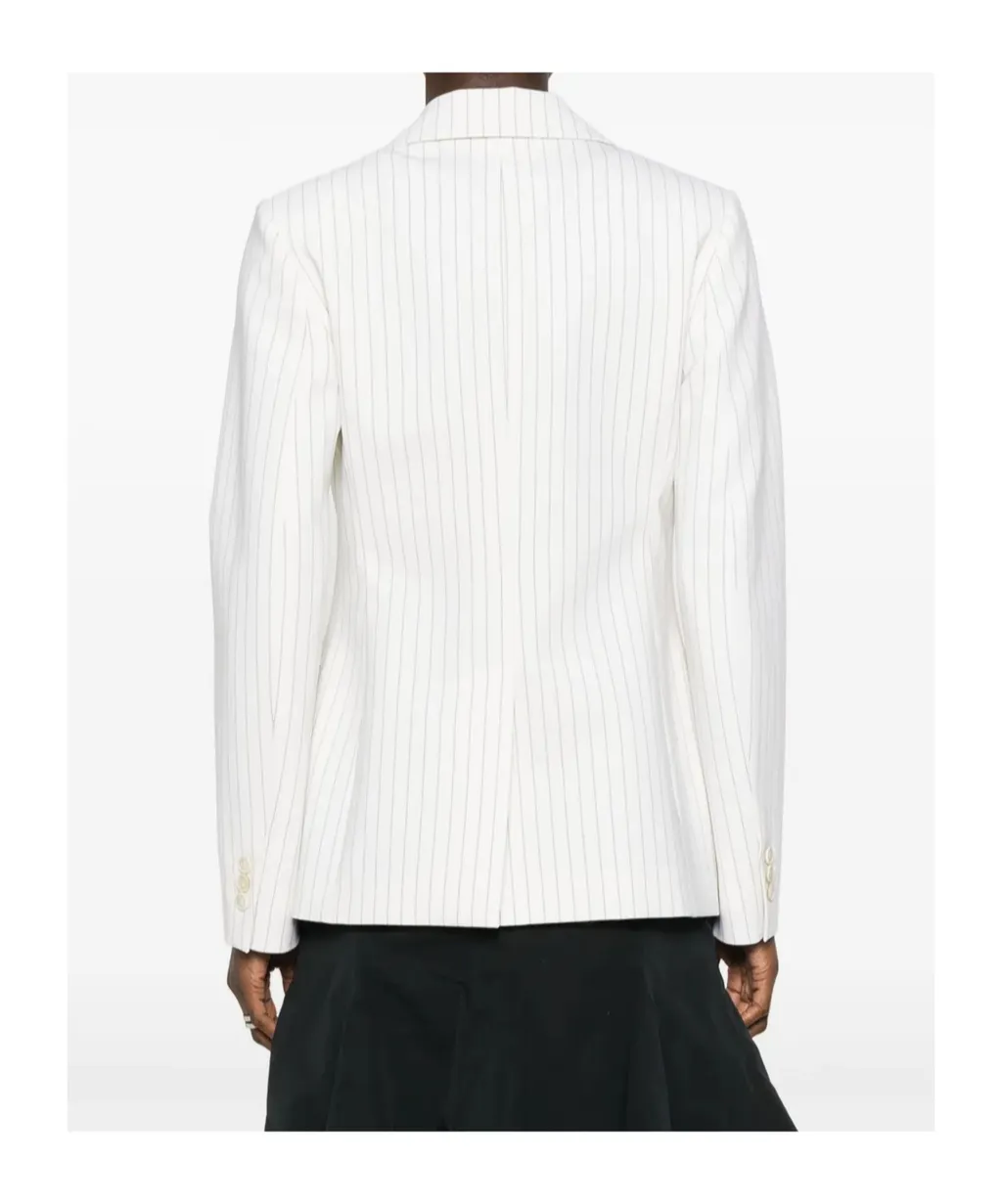 P.A.R.O.S.H. Striped Single-Breasted Blazer