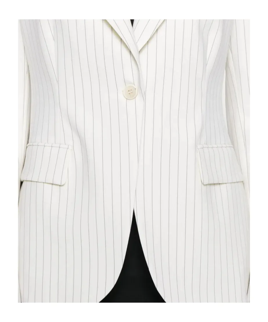 P.A.R.O.S.H. Striped Single-Breasted Blazer