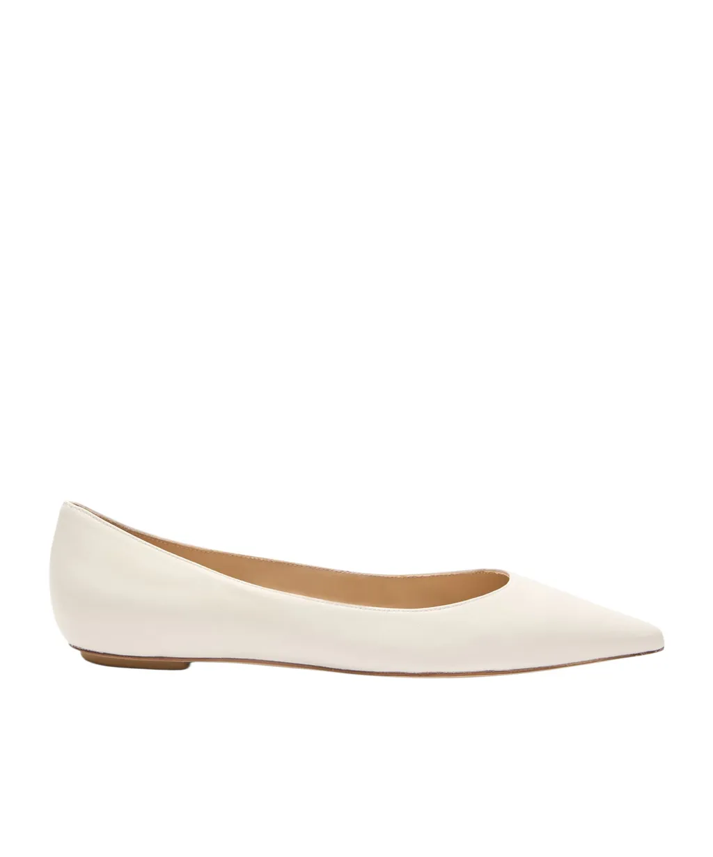 Pointed Flat Shoes