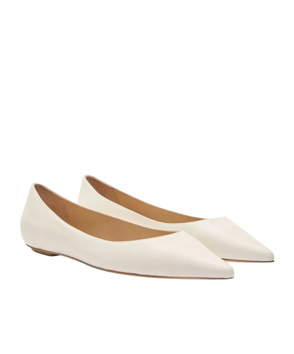 Pointed Flat Shoes