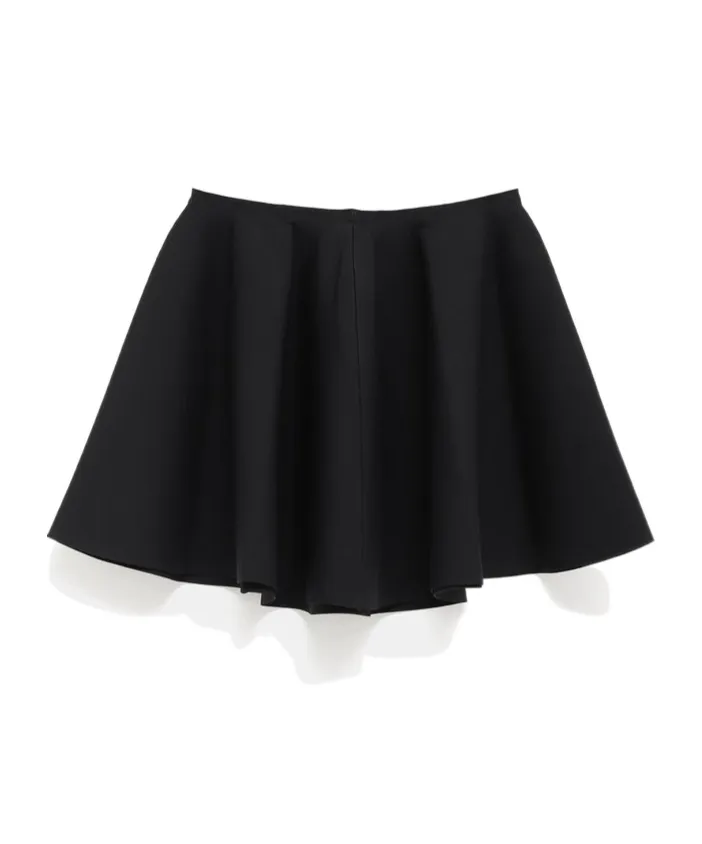 Flare Skirt