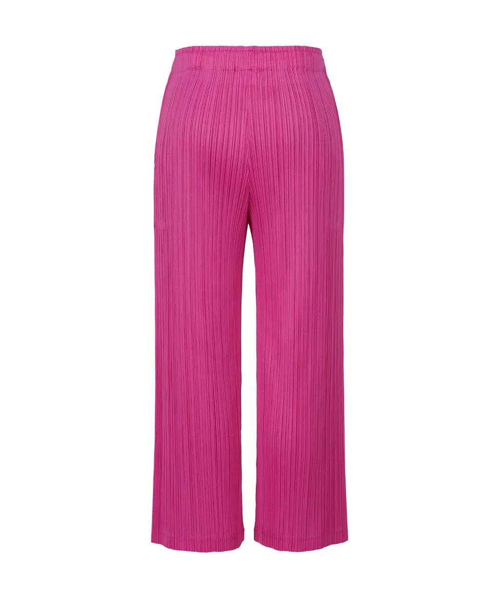 Pleated Trousers