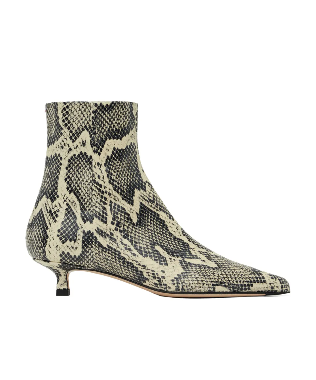 Pointed Ankle Boots