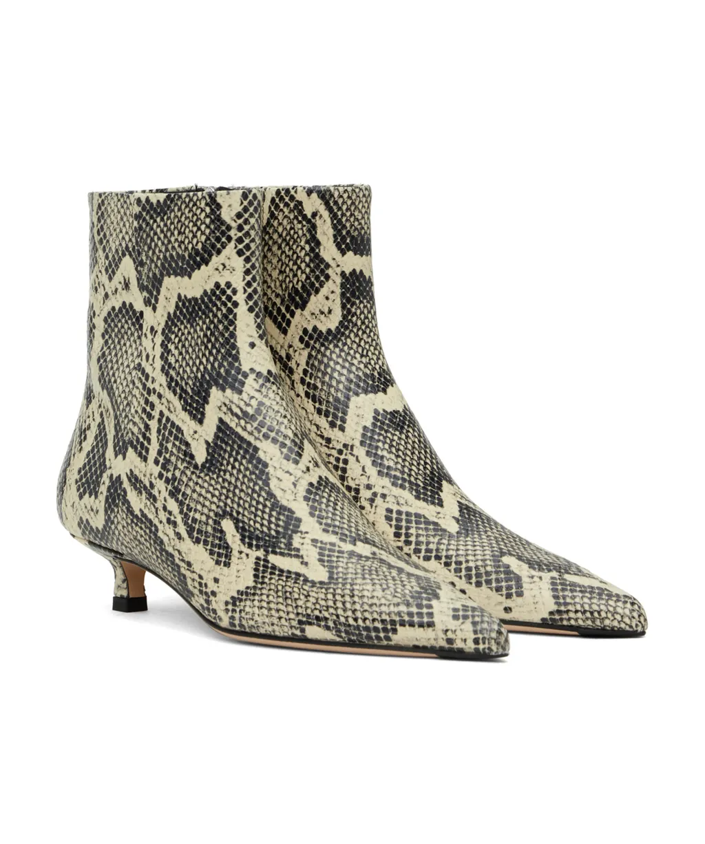 Pointed Ankle Boots