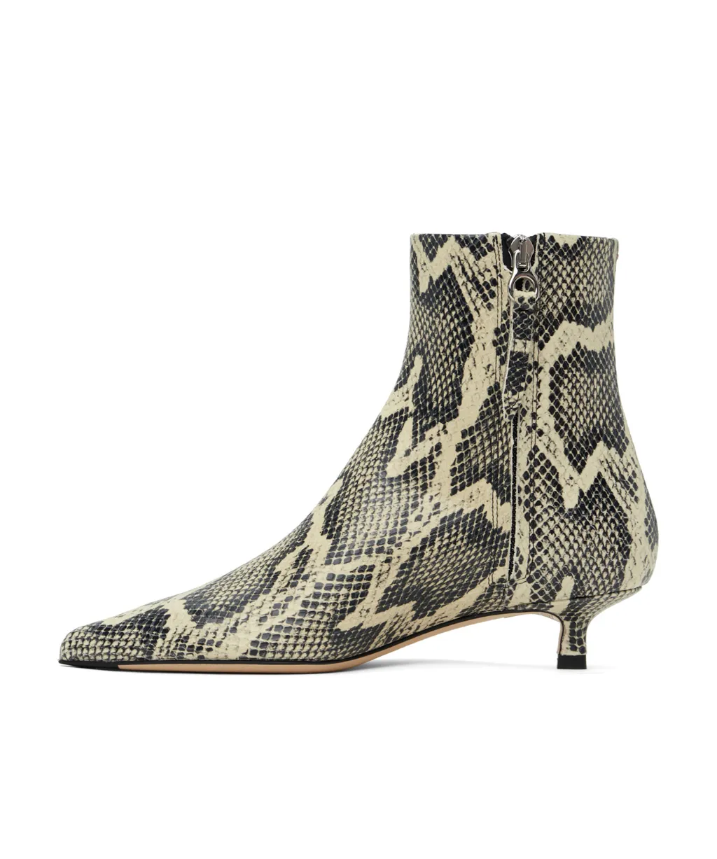 Pointed Ankle Boots