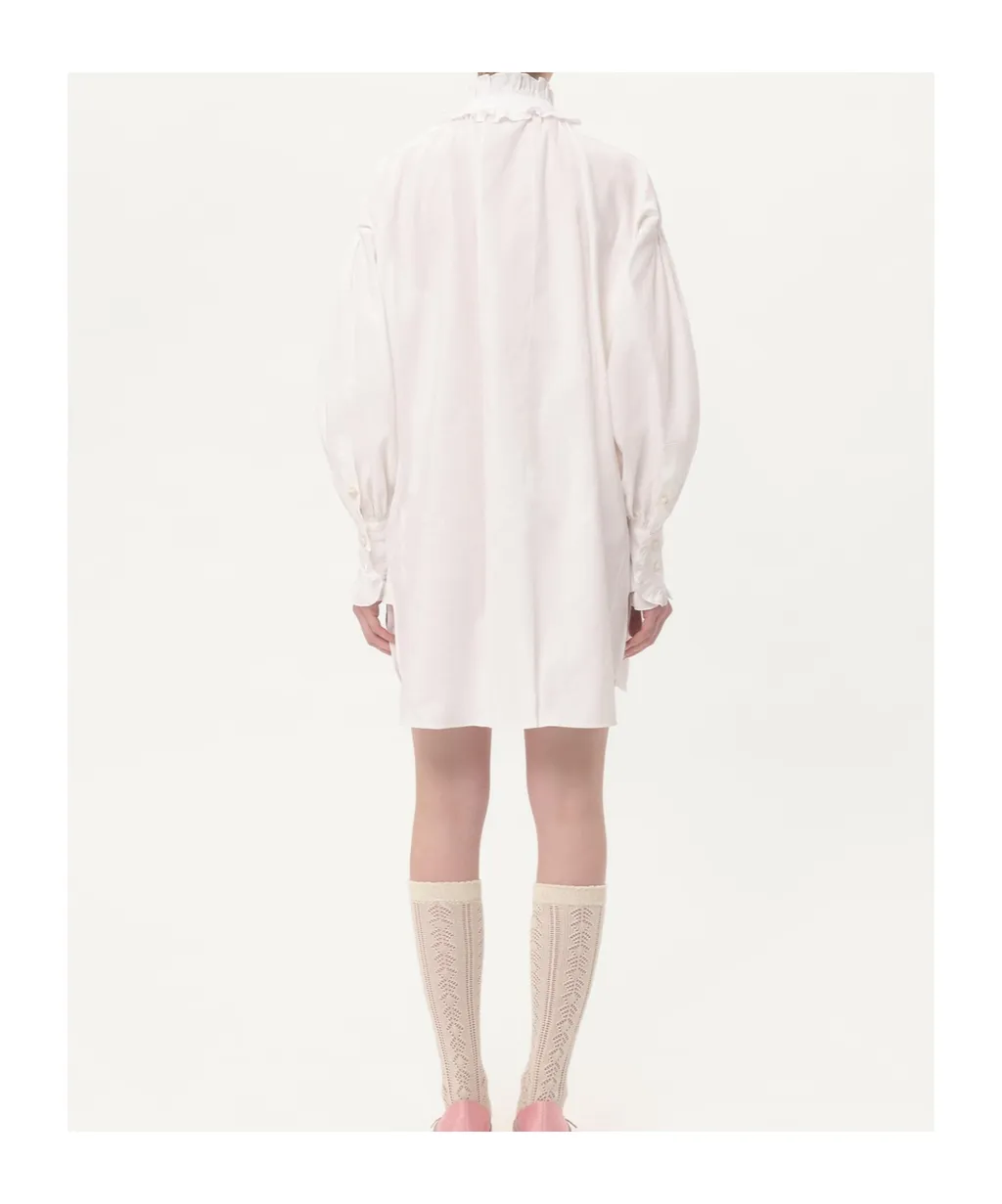 Valentino Ruffled Long-Sleeved Mini Dress