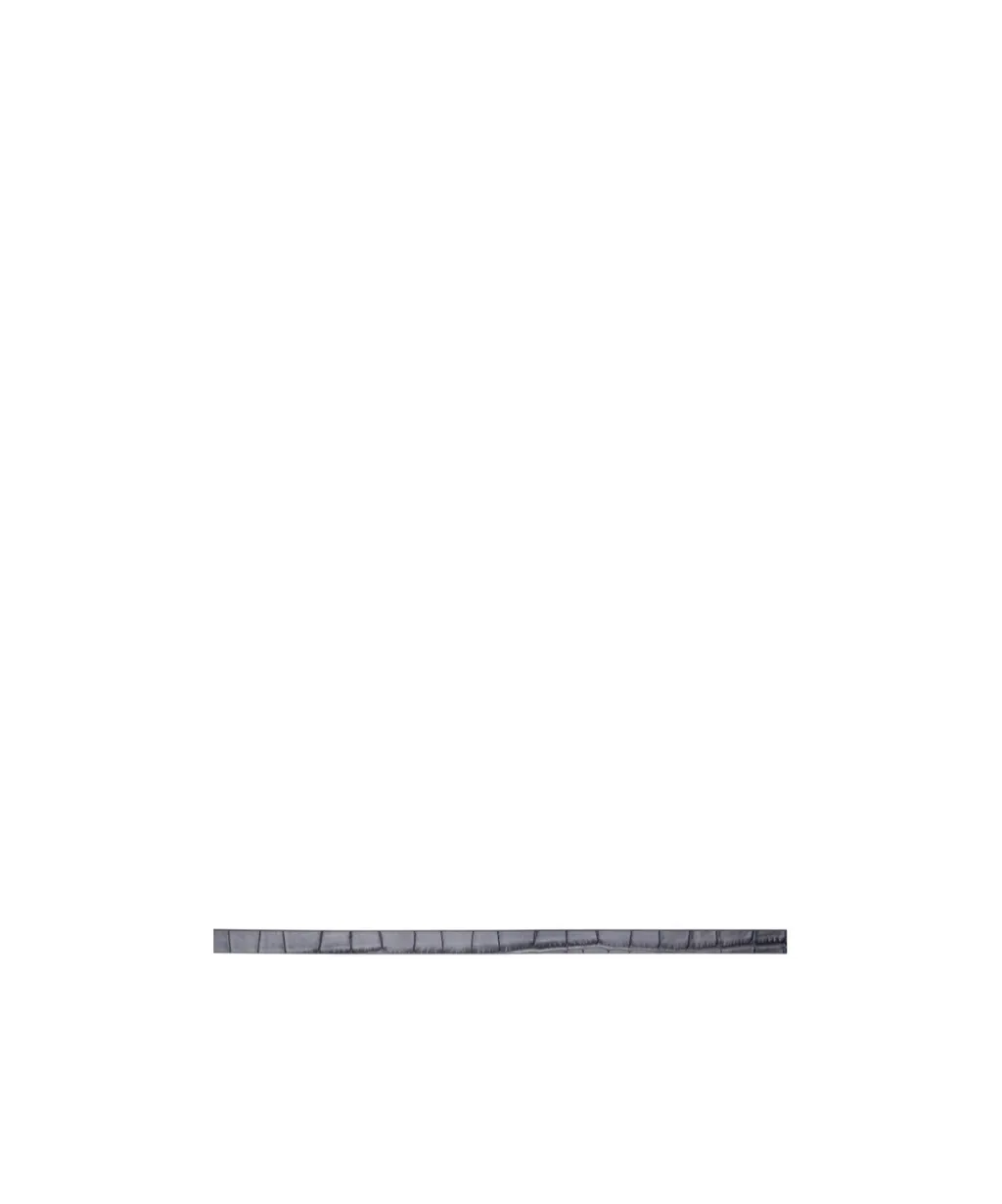 Alex Mini Charm Belt