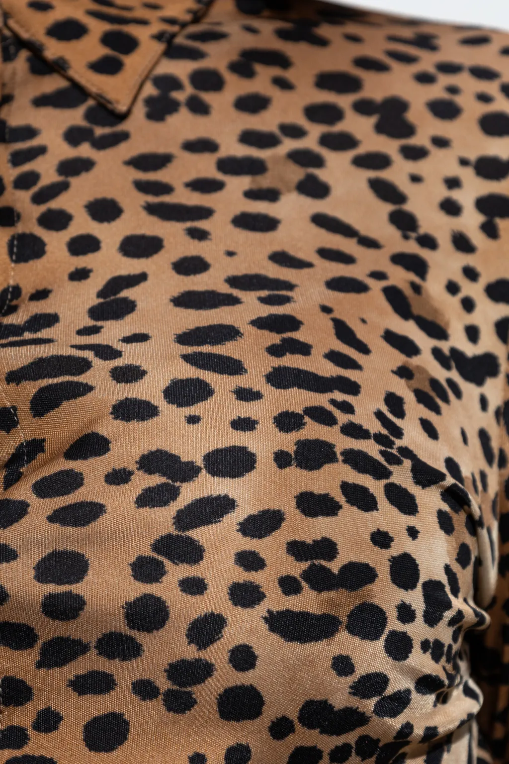Versace Leopard-Printed Long-Sleeved Shirt