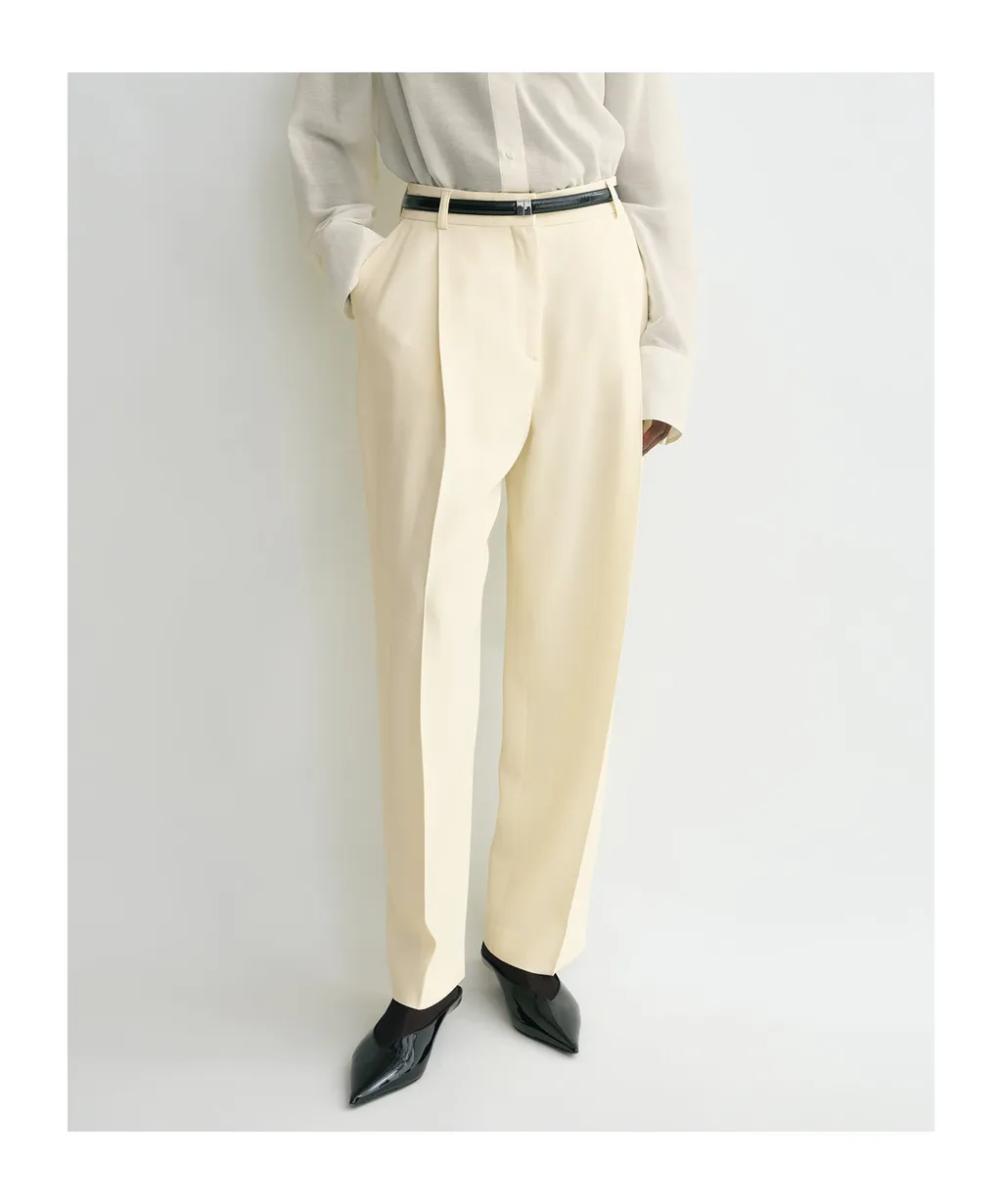 Pleated Trousers