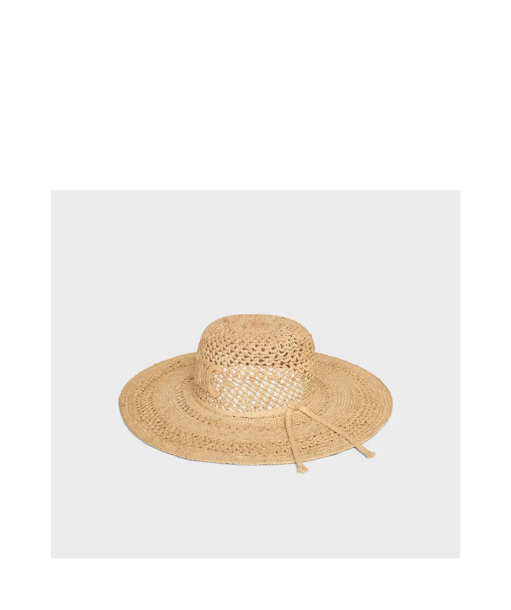 Triomphe Wide-Brimmed Hat In Raffia