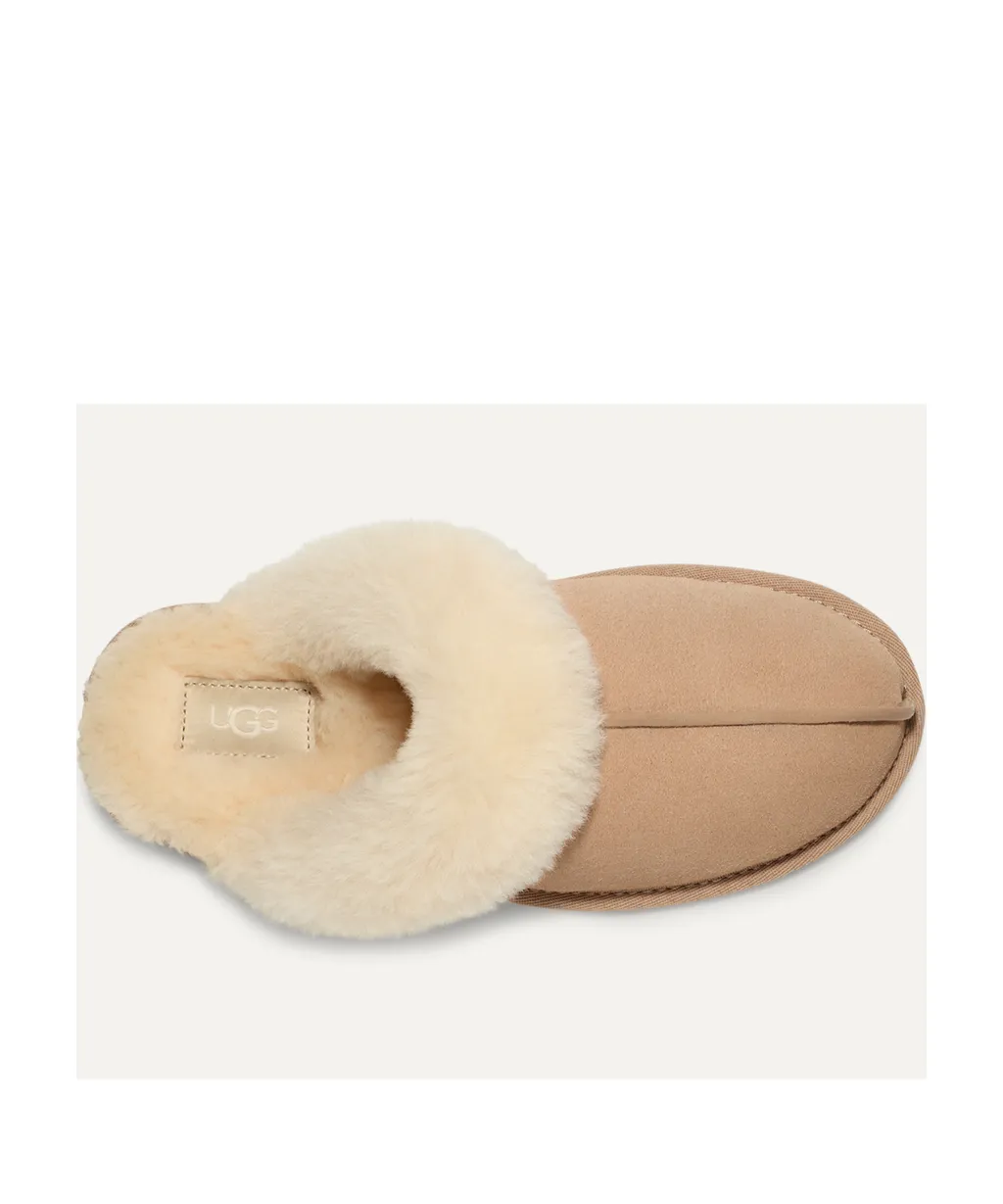 Round Head Slippers