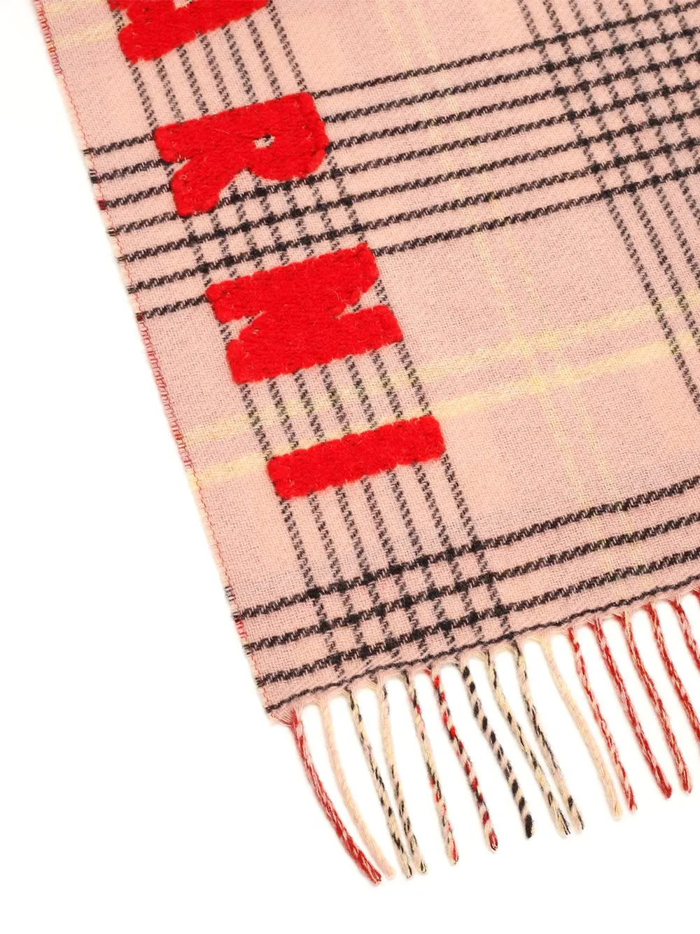 Fringed Scarf