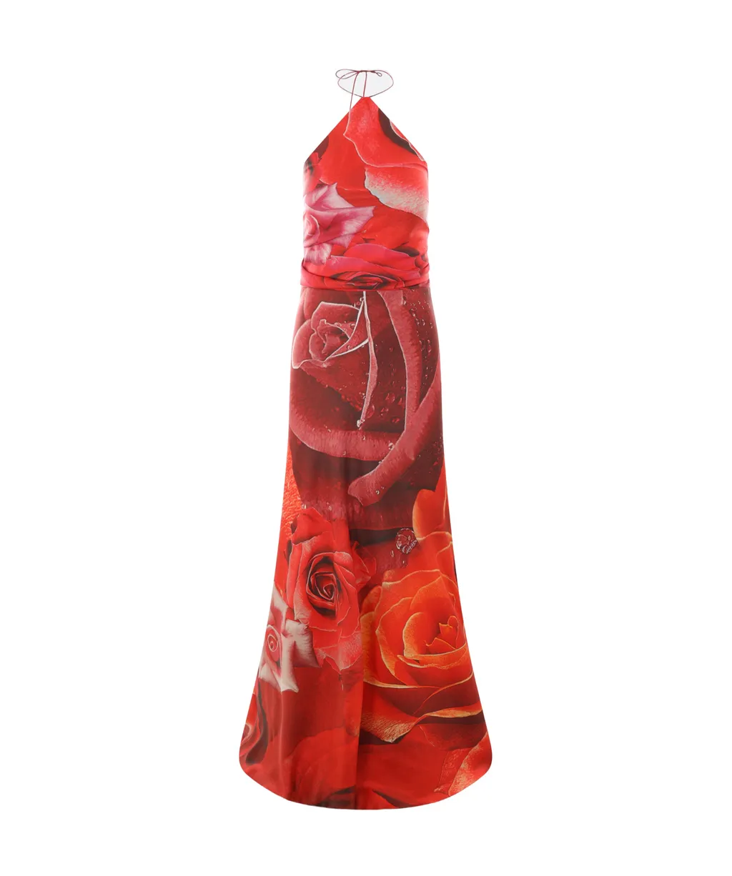 Roberto Cavalli Garden Rose-Printed Halterneck Maxi Dress