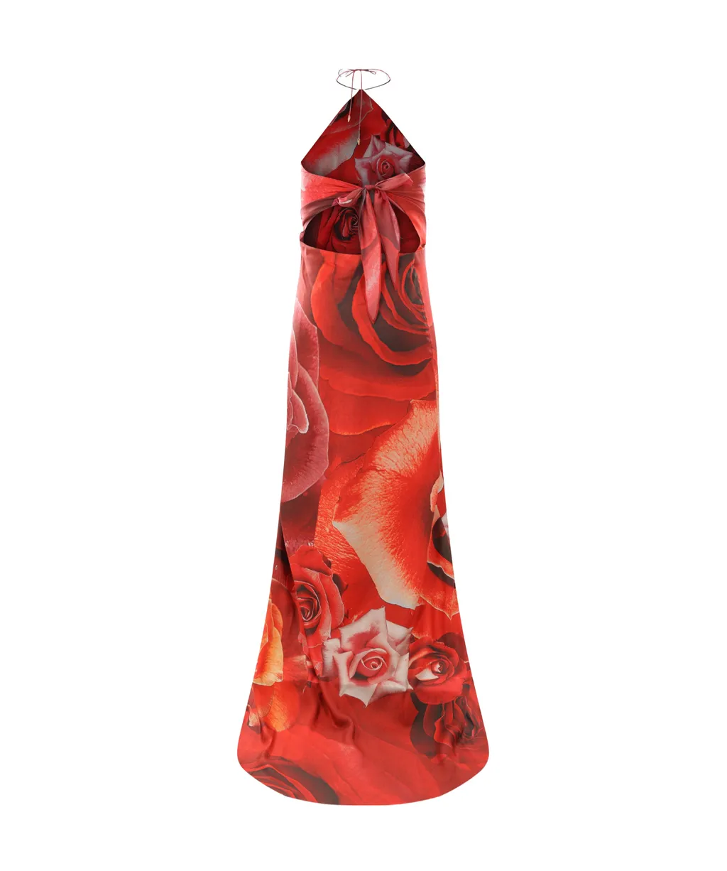 Roberto Cavalli Garden Rose-Printed Halterneck Maxi Dress