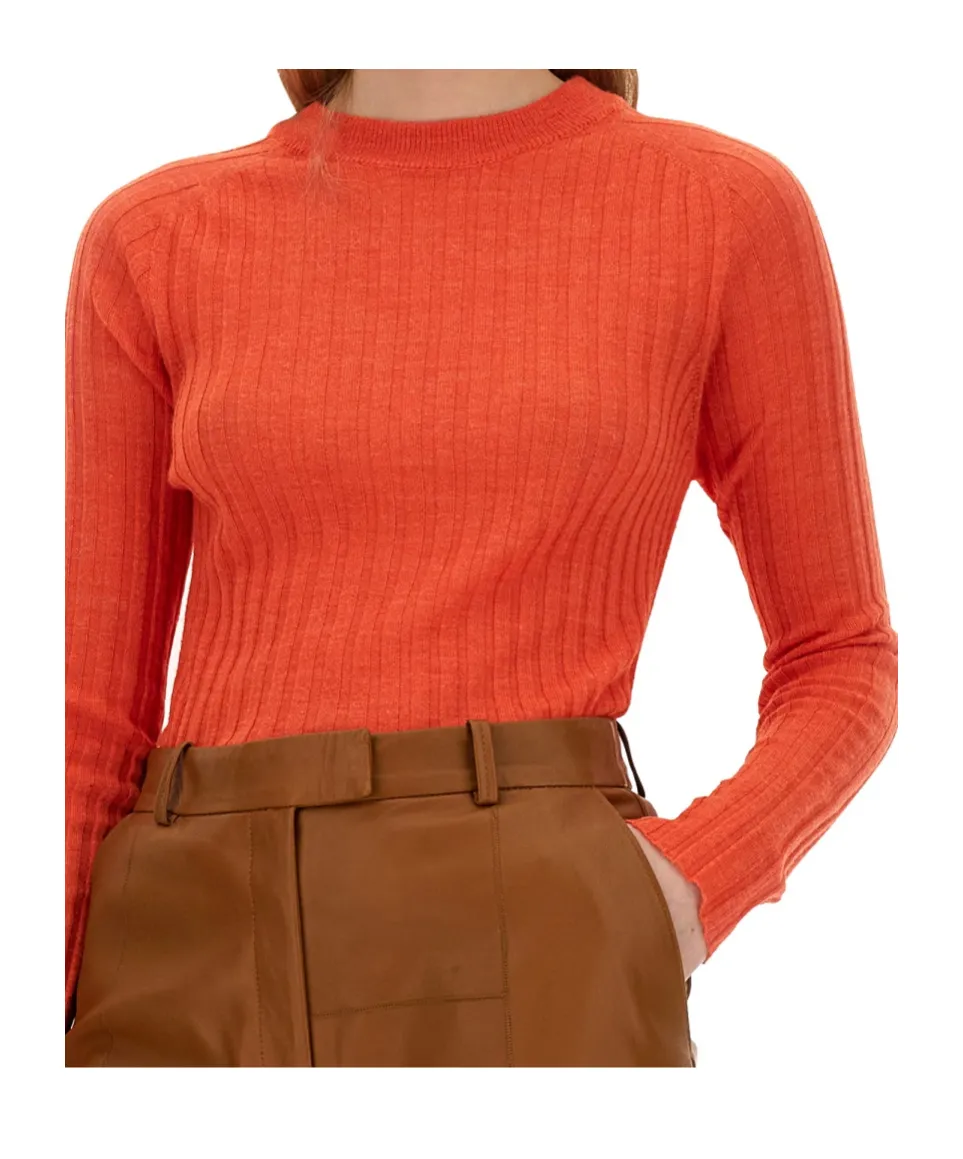 Alysi Crewneck Long-Sleeved Knitted Top