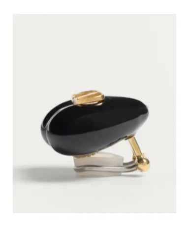 Valentino Coeur Royal Vlogo Signature Earrings
