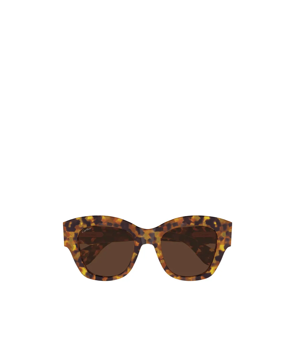 Full Frame Sunglasses