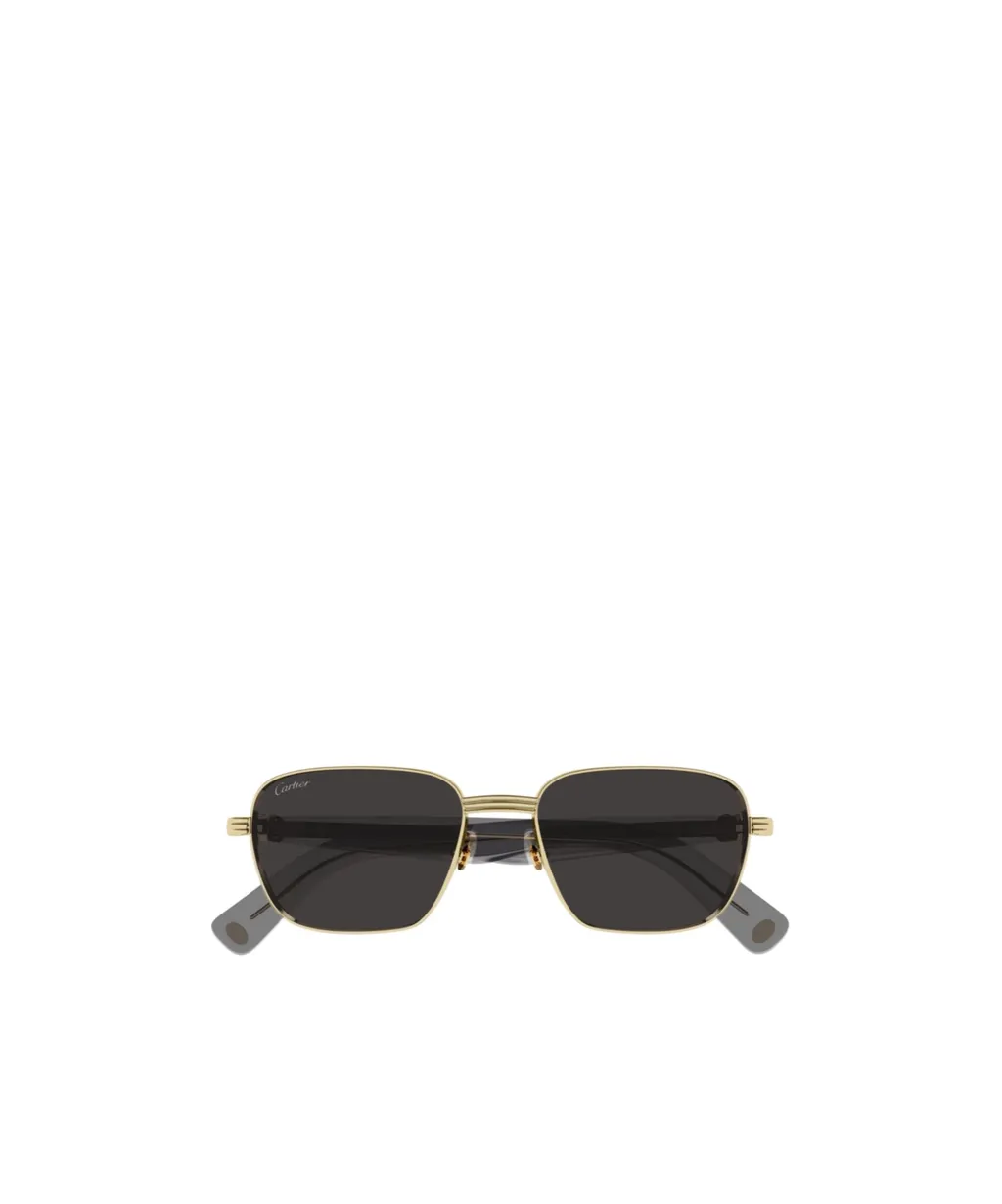 Frame Sunglasses